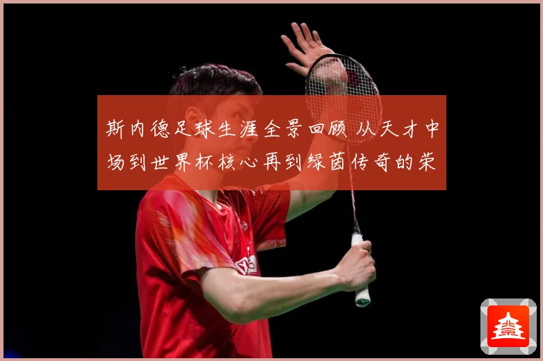 斯内德足球生涯全景回顾 从天才中场到世界杯核心再到绿茵传奇的荣耀征程：最新赛事动态与深度分析